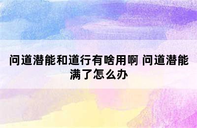 问道潜能和道行有啥用啊 问道潜能满了怎么办